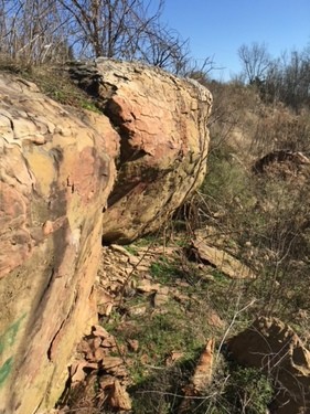 Cleft of the Rock
